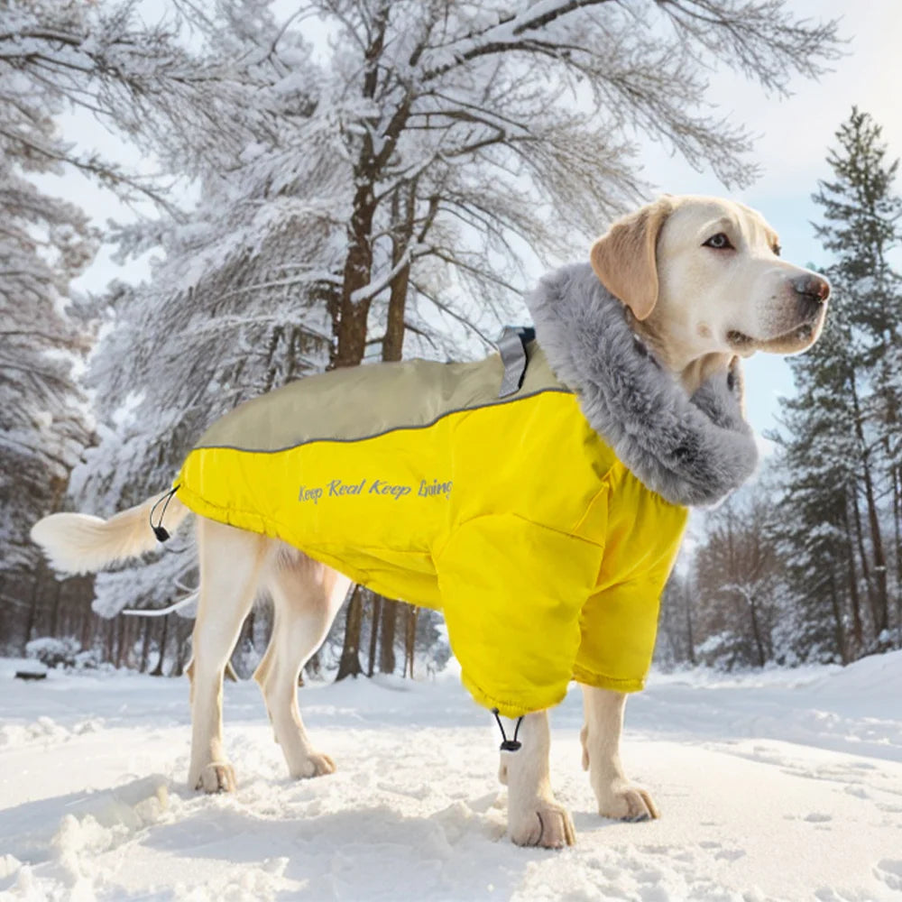 Super Cozy Winter Dog Vest Jacket