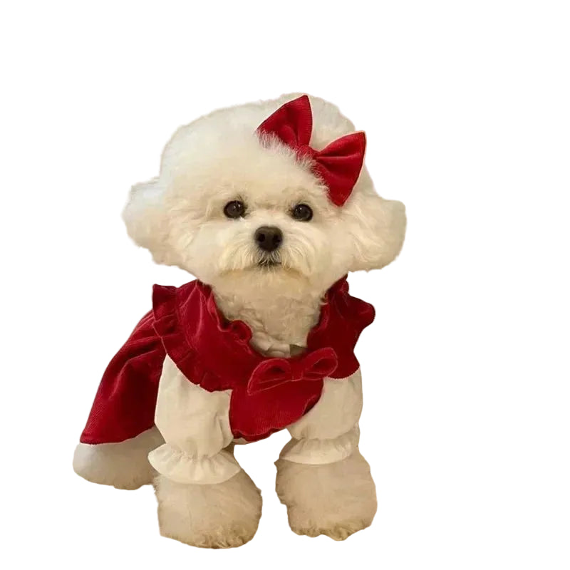 Puppy Bow Knot Princess Dress Set