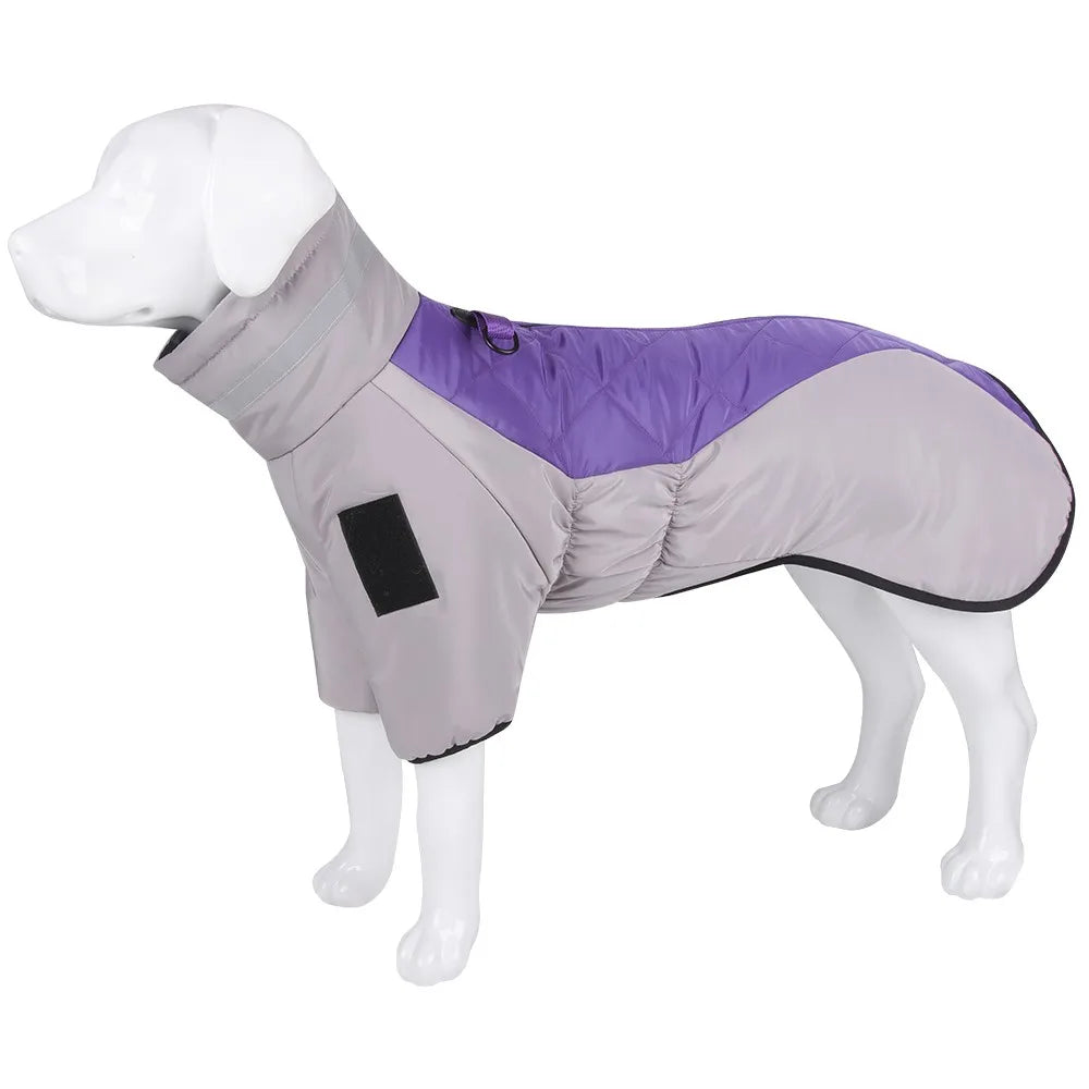 Greyhound Waterproof Winter Jacket