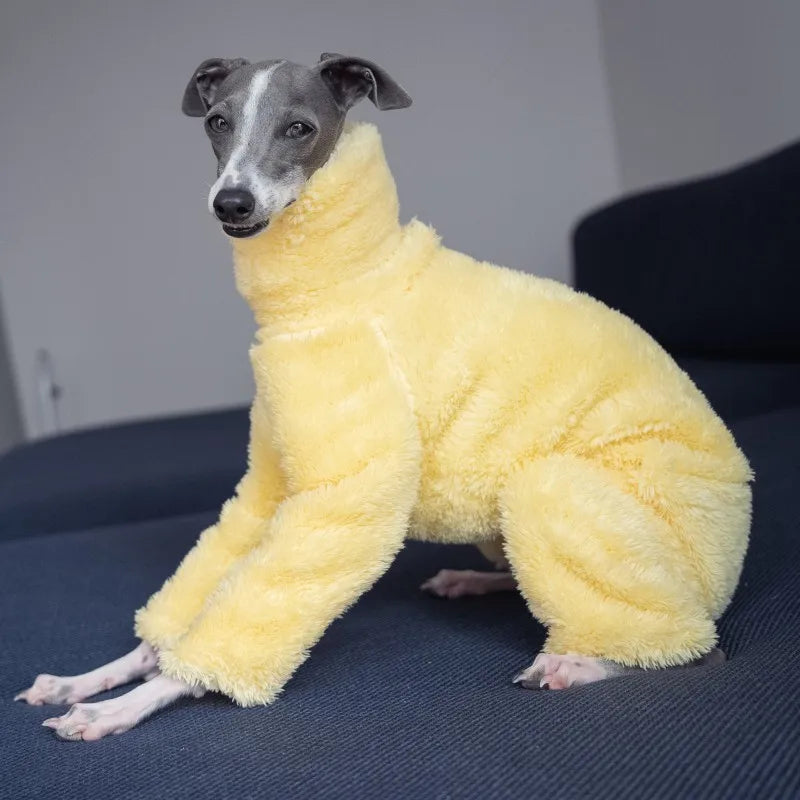 Soft Yellow Greyhound Winter Coat