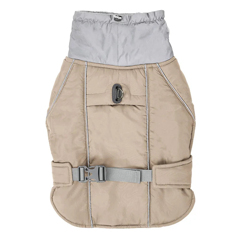 45083423637666|45083423670434|45083423834274|45083423867042|45083423899810|45083423932578