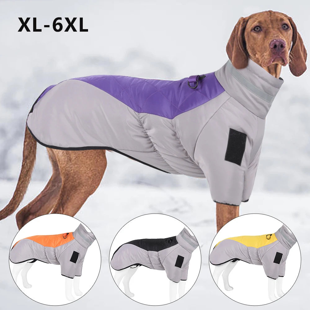 Greyhound Waterproof Winter Jacket
