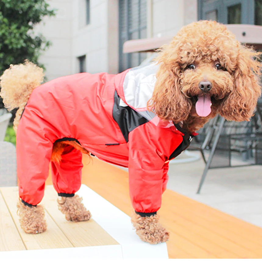 The Dog Face Raincoat Waterproof Jacket