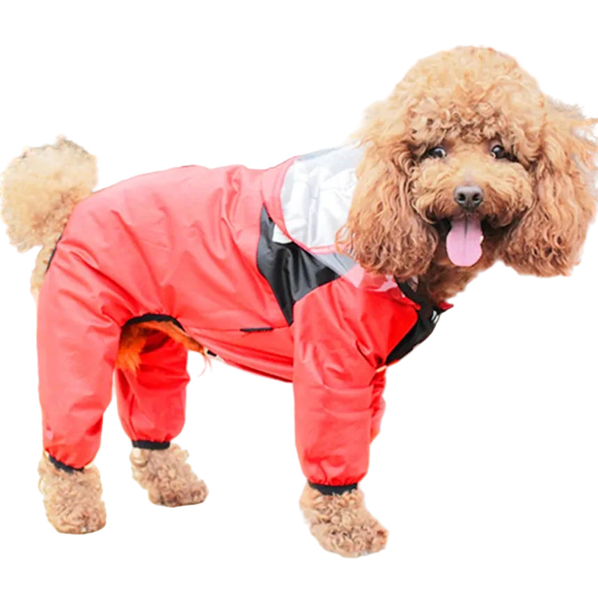 The Dog Face Raincoat Waterproof Jacket