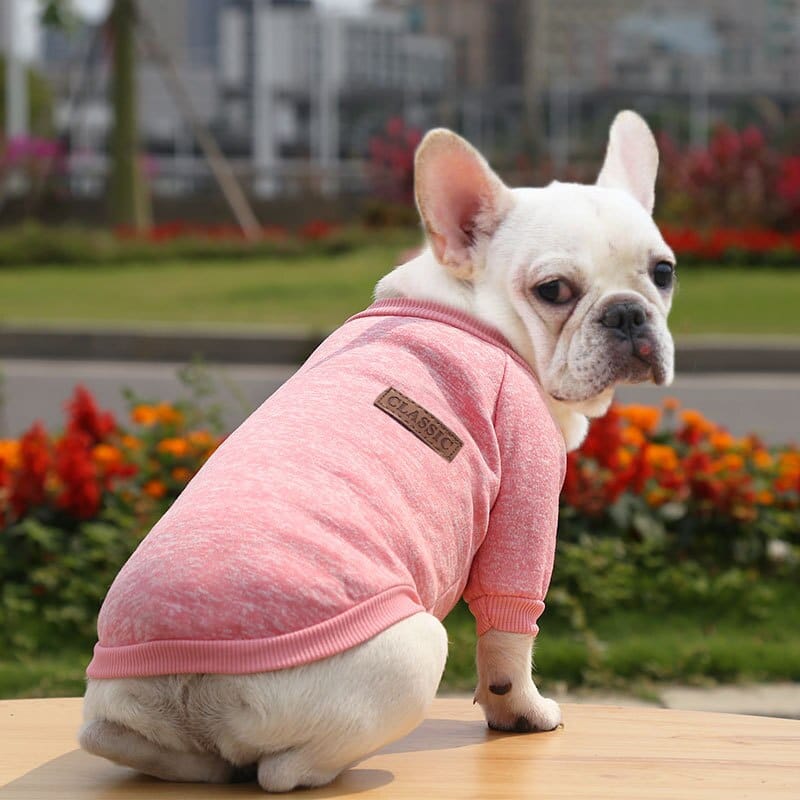 Winter Sweatshirt Dog Clothes
