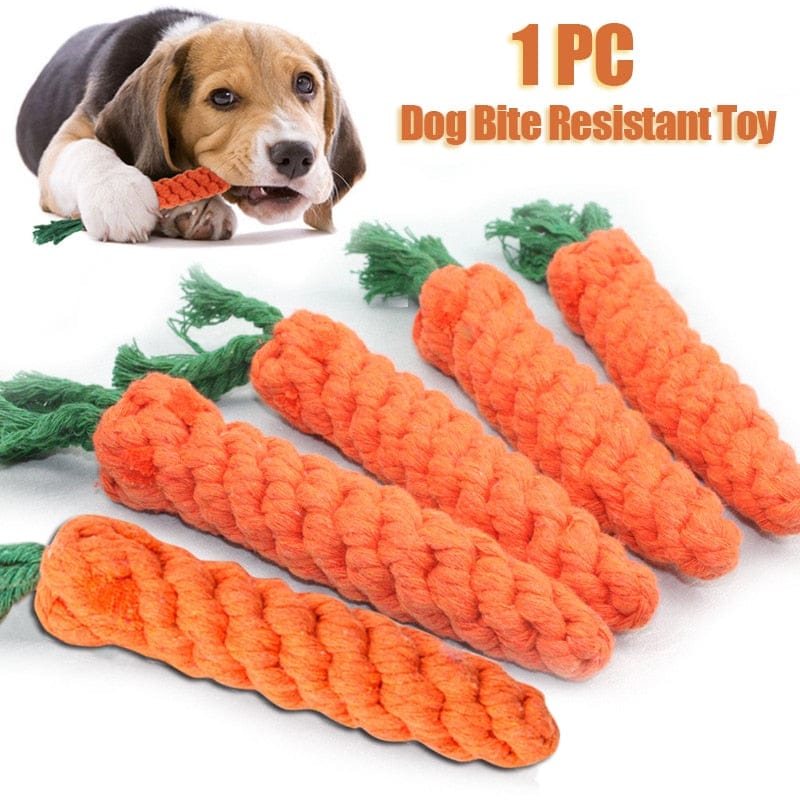 Carrot Dog Chew Toy