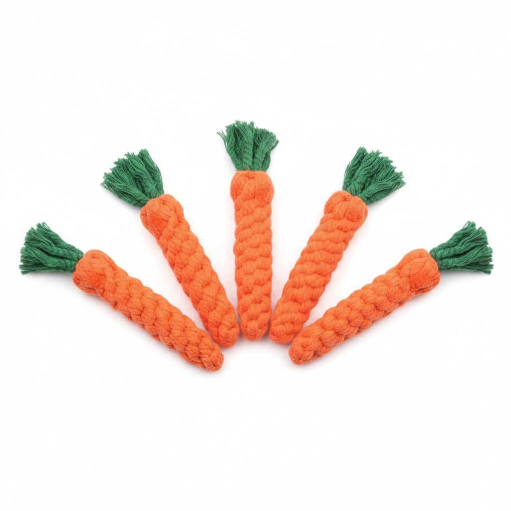 Carrot Dog Chew Toy