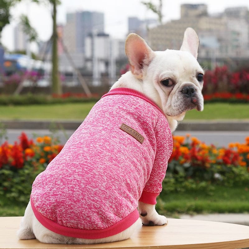 Winter Sweatshirt Dog Clothes