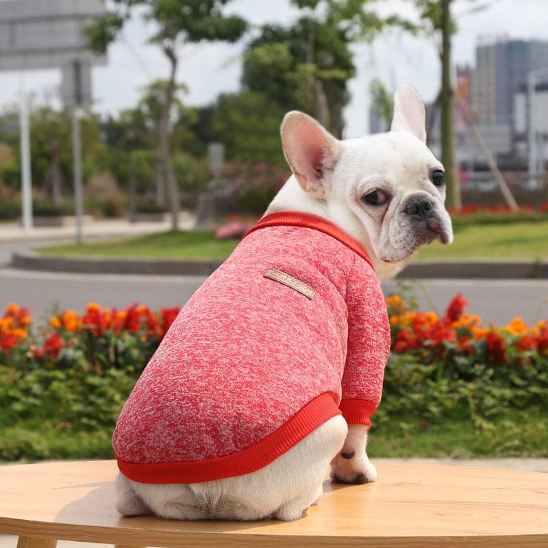 Winter Sweatshirt Dog Clothes