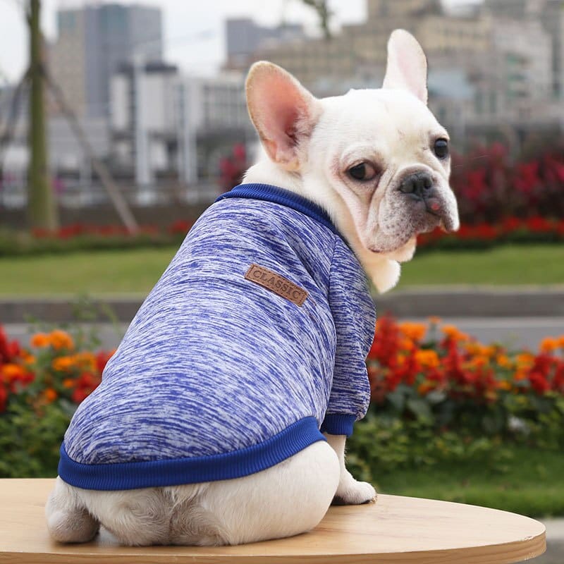 Winter Sweatshirt Dog Clothes
