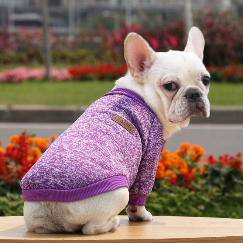 Winter Sweatshirt Dog Clothes