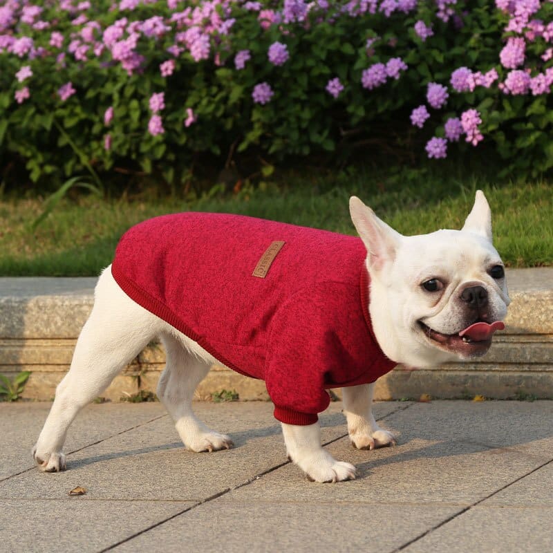 Winter Sweatshirt Dog Clothes