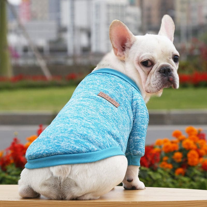 Winter Sweatshirt Dog Clothes