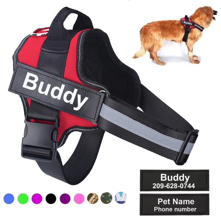 Custom dog harness 2024 and leash