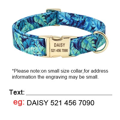 Personalized Dog Collar And Leash