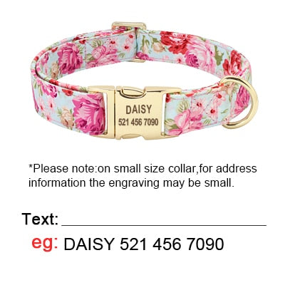 Personalized Dog Collar And Leash