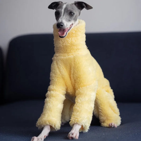 Soft Yellow Greyhound Winter Coat