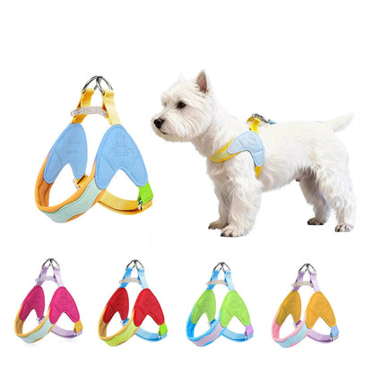 Y-Shaped Dog Harness