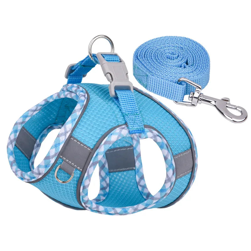 Outdoor Walking Dog Harness and Leash Set