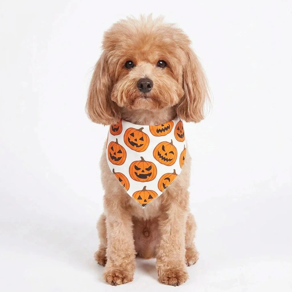 Halloween Dog Bandanas