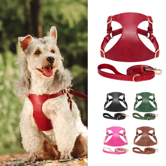 Leather Dog Harness Leash Set