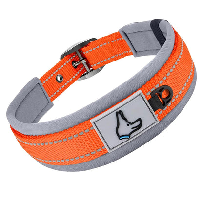 Padded Dog Collars