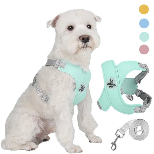 X Shaped Pet Harness Vest and Leash Set