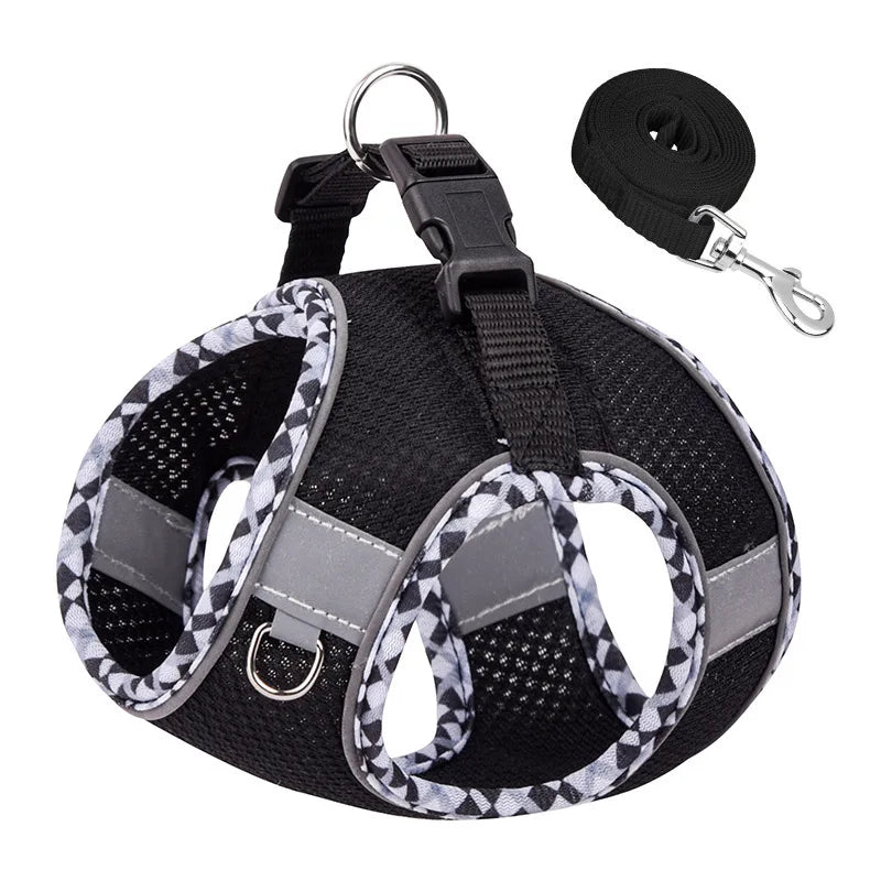 Outdoor Walking Dog Harness and Leash Set