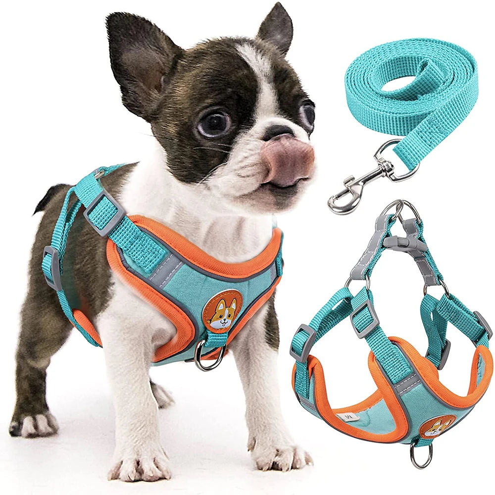 Adjustable Dog Harness and Leash Set