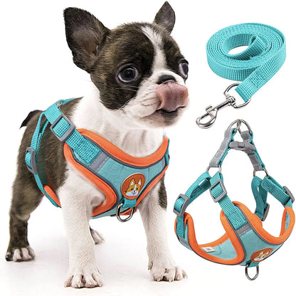 Adjustable Dog Harness and Leash Set