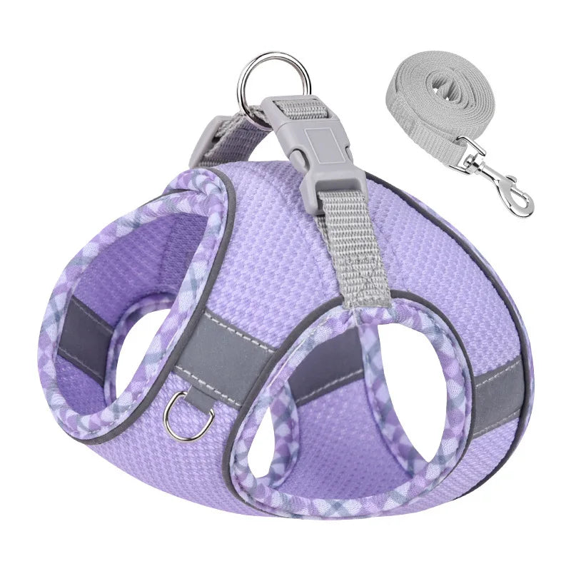 Outdoor Walking Dog Harness and Leash Set