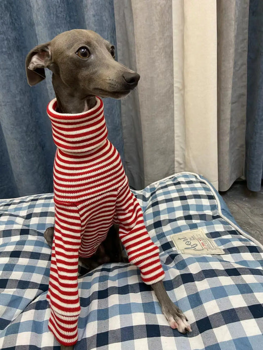 Italian Greyhound Red Striped Turtleneck Sweater