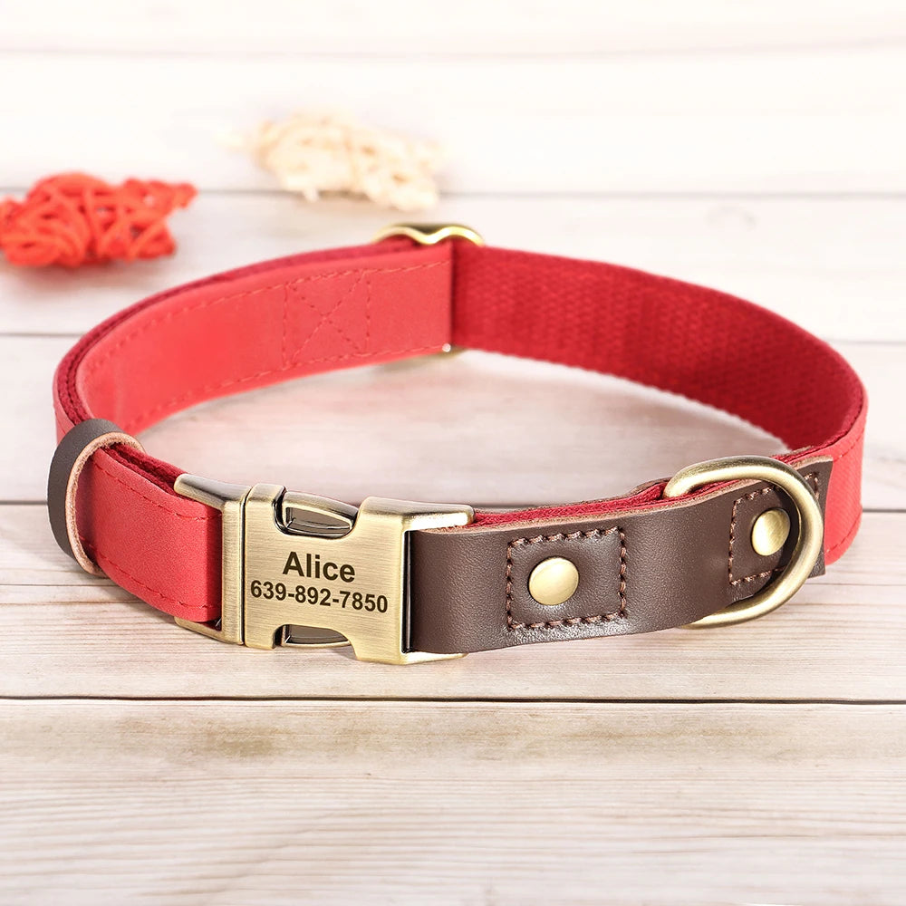Custom Leather Dog Collar