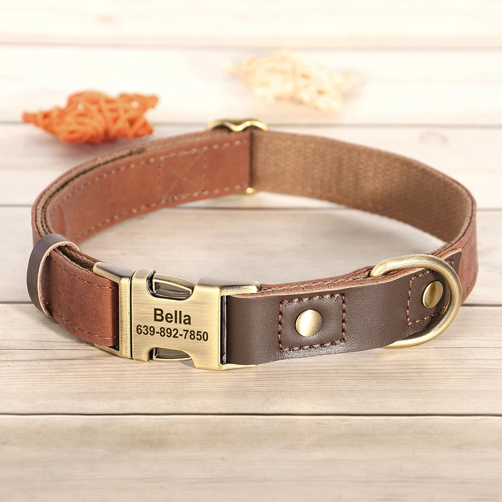 Custom Leather Dog Collar