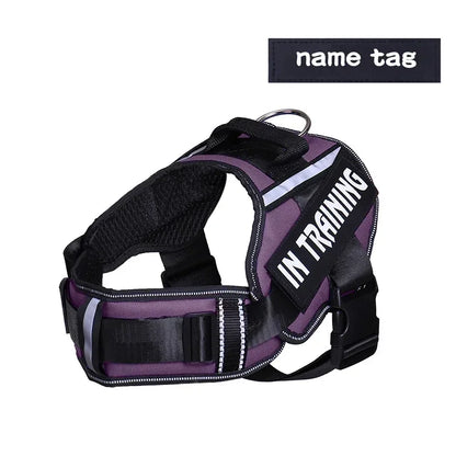 Personalized Reflective Dog Harness with Name Tag