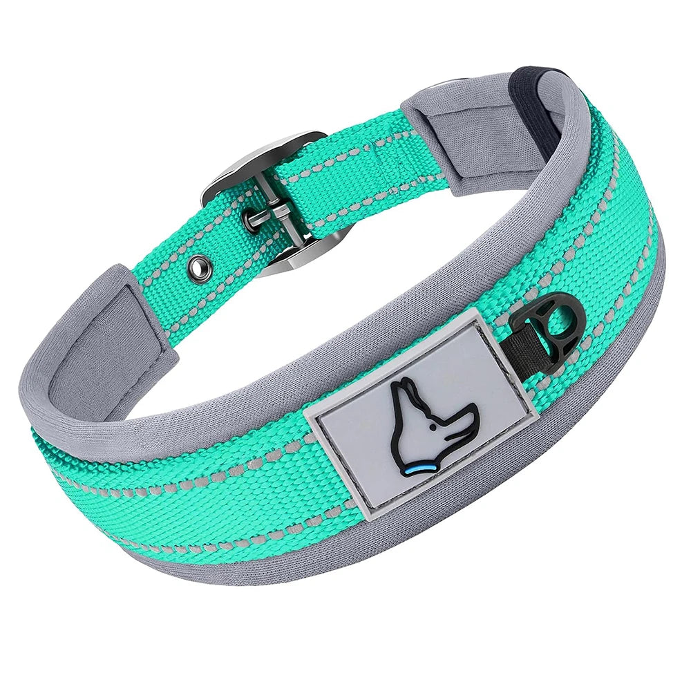 Padded Dog Collars