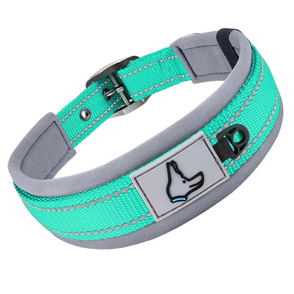 Padded Dog Collars
