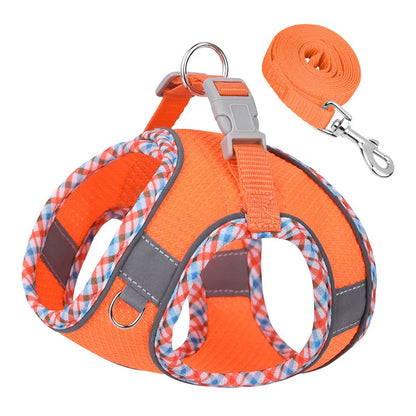 Outdoor Walking Dog Harness and Leash Set