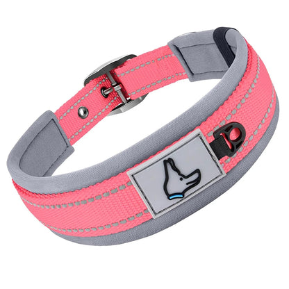 Padded Dog Collars