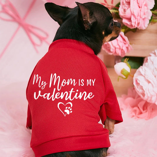 Valentine's Day Dog Hoodies