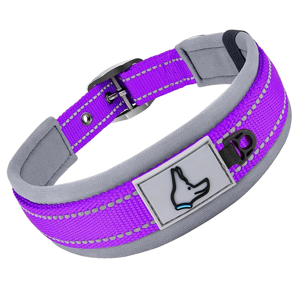 Padded Dog Collars