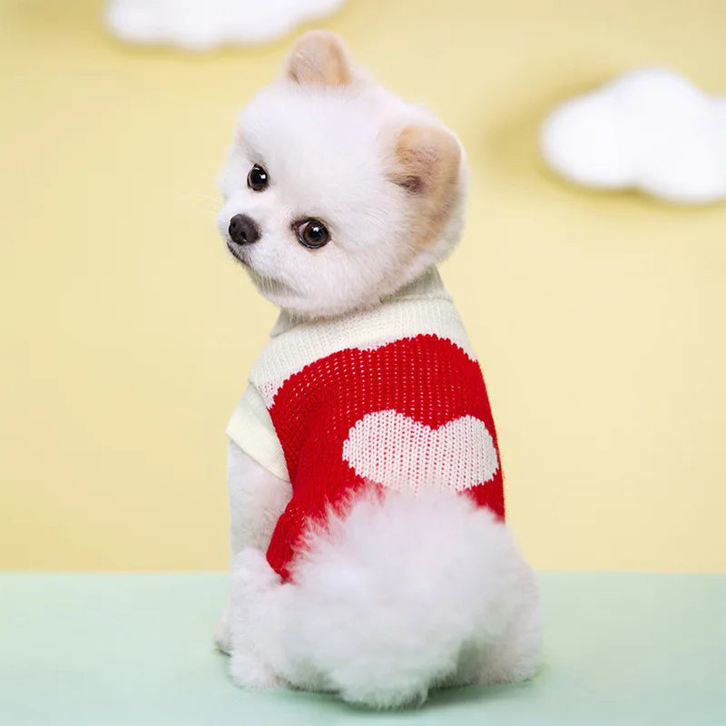 Cozy Knitted Dog Sweater