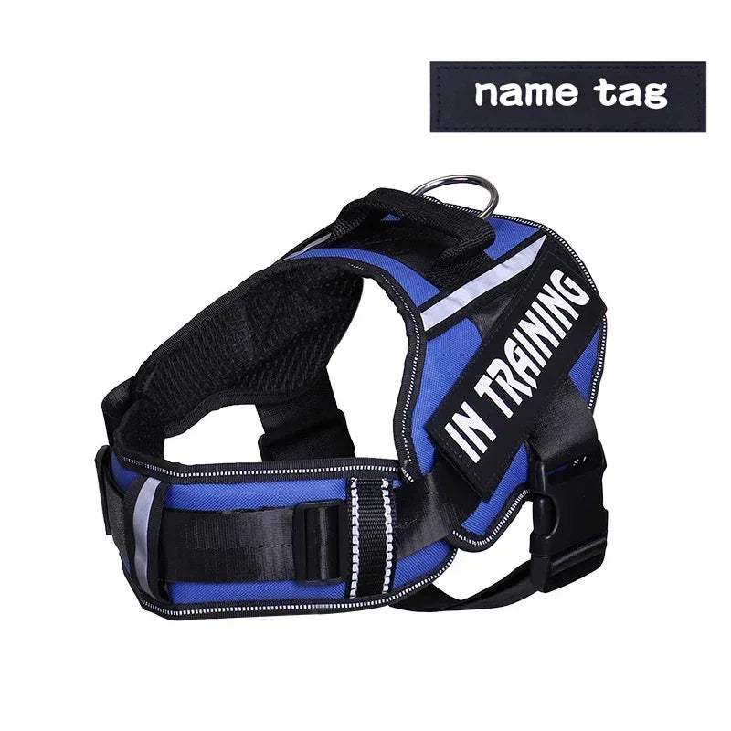 Personalized Reflective Dog Harness with Name Tag