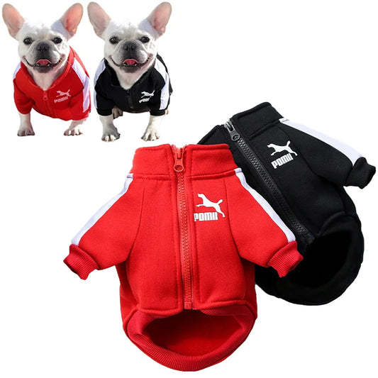 Stylish Dog Baseball Jacket