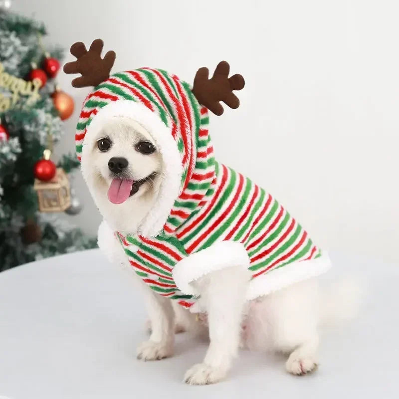 Dog Christmas Festive Hoodies