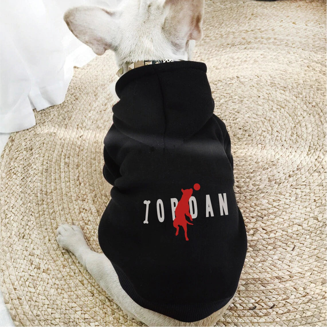 Warm Fleece-Lined Dog Hoodie