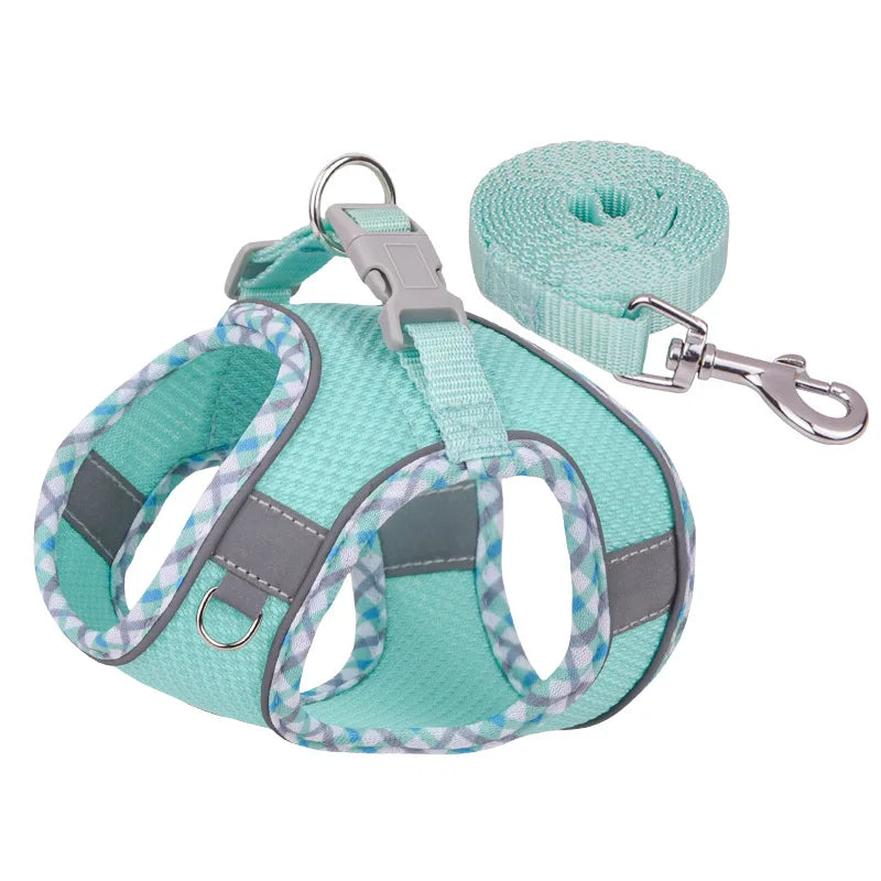 Outdoor Walking Dog Harness and Leash Set