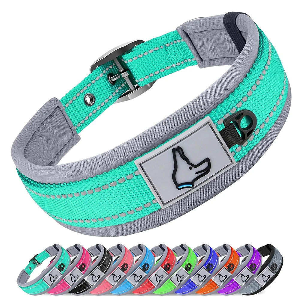 Padded Dog Collars
