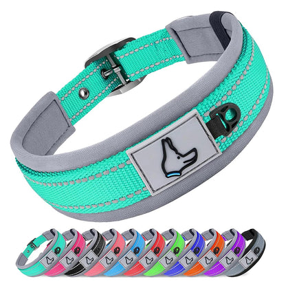 Padded Dog Collars