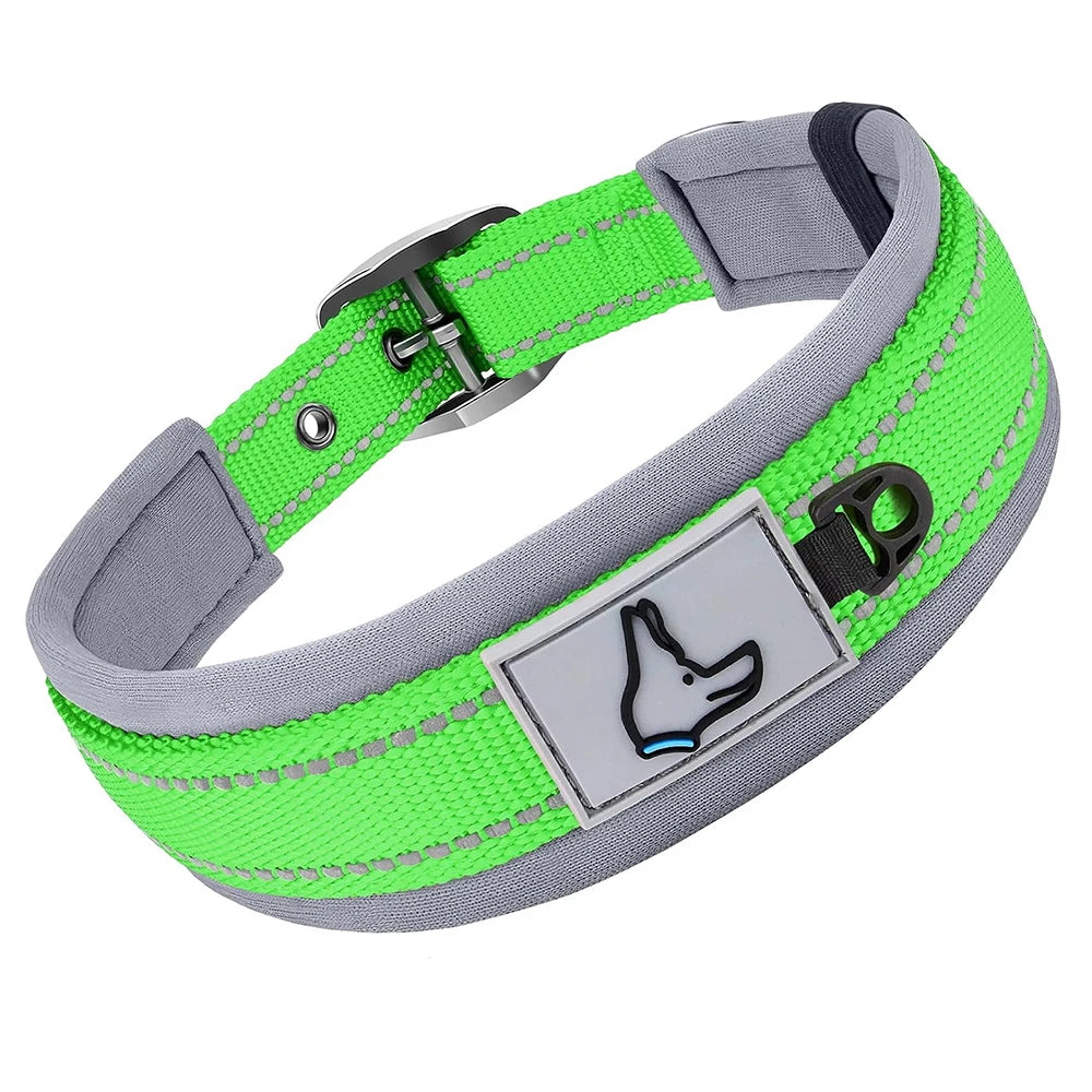 Padded Dog Collars